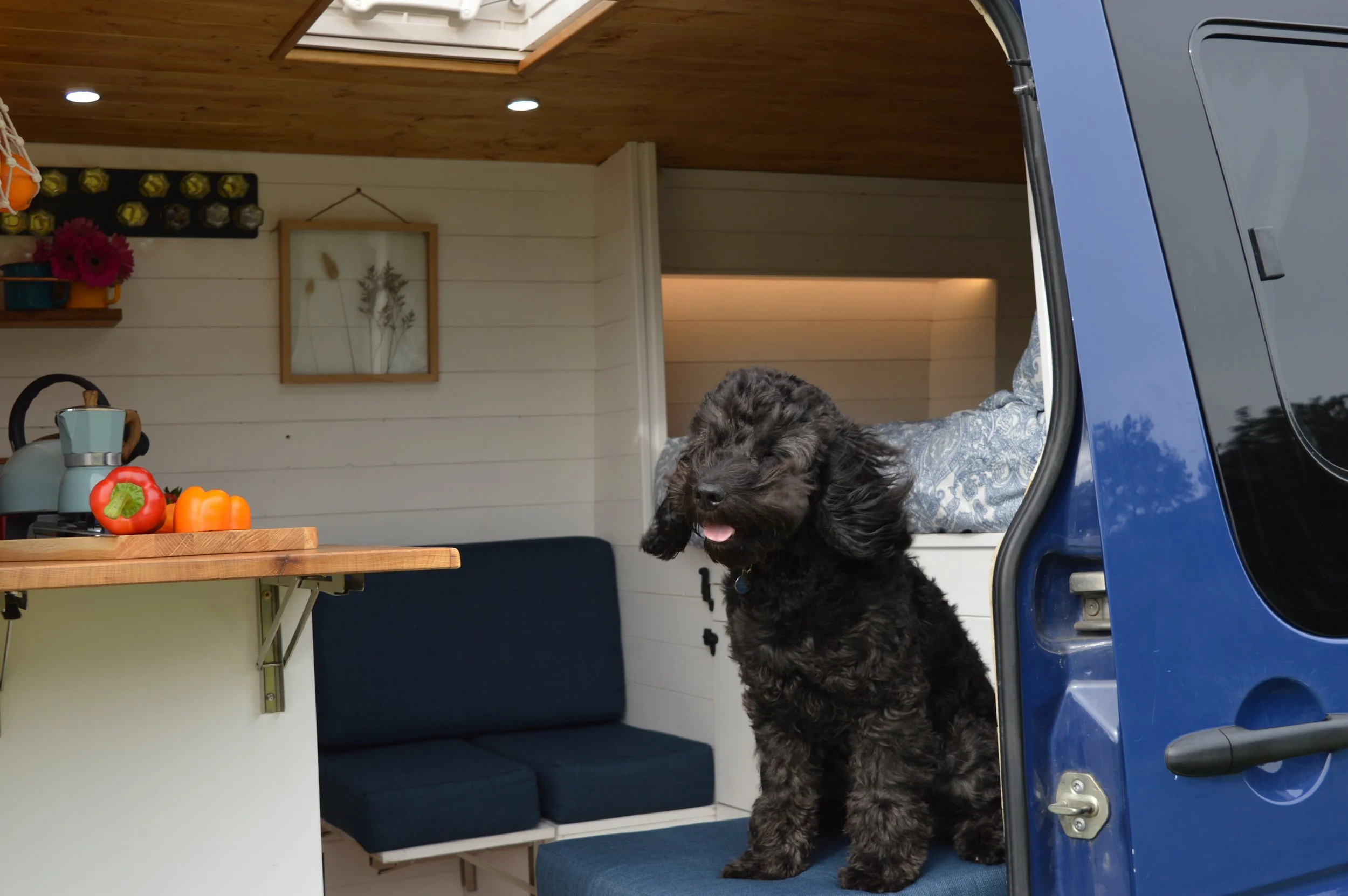 Luca. Country kitchen, Dining area for 2, Fixed double bed, Single childs bed. Photo 13 of 19.