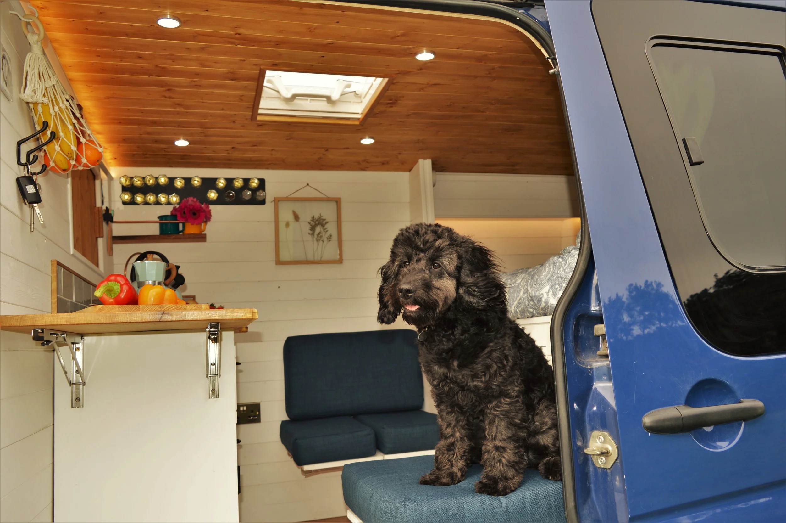 Luca. Country kitchen, Dining area for 2, Fixed double bed, Single childs bed. Photo 10 of 19.